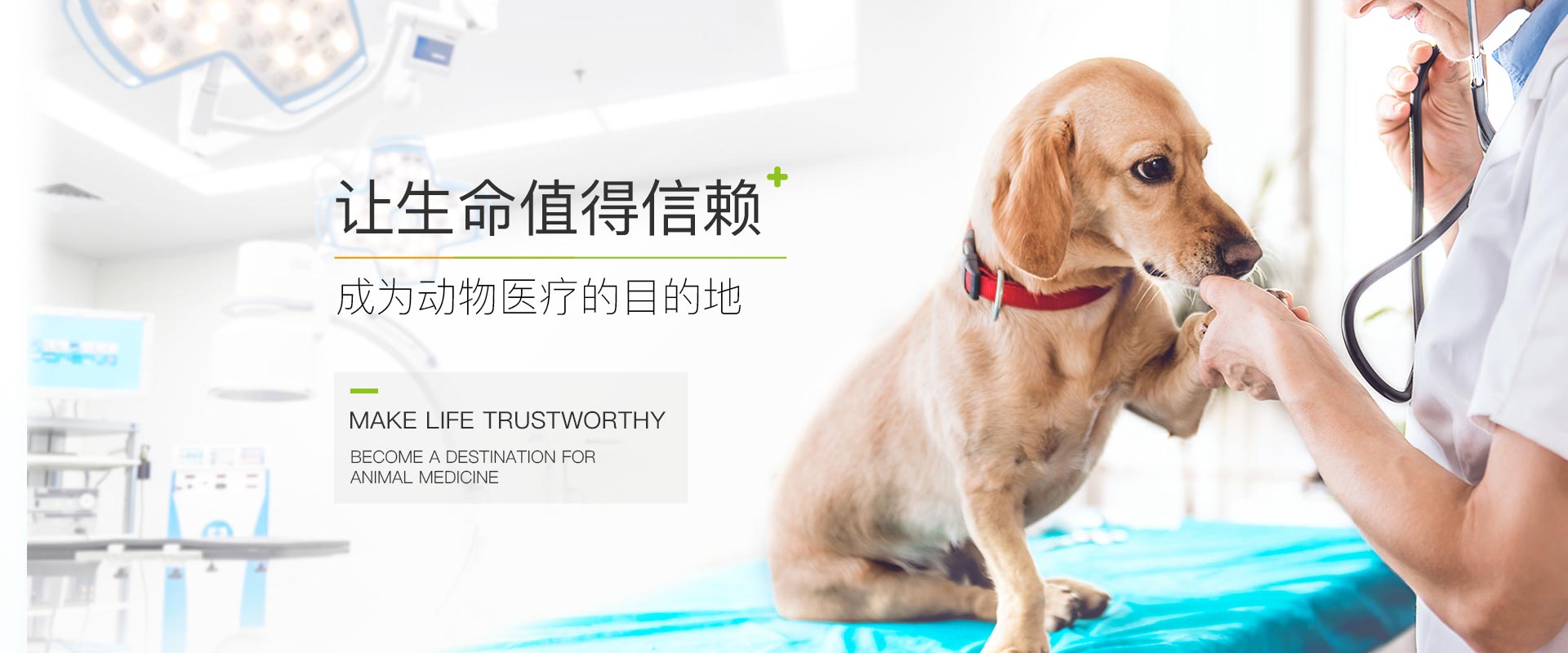 美联宠物医院